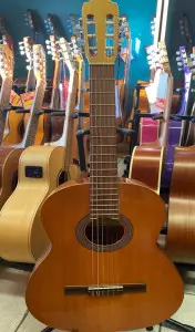 رنگ بندی گیتار ریموندو 104b